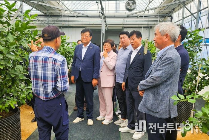 명품 아열대 과일 ‘장성 레몬’ 상품성 높인