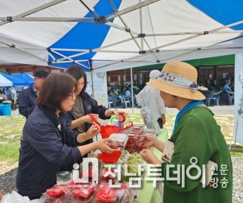 샤인머스캣, 무화과… 장성군 여름 과일 으뜸!