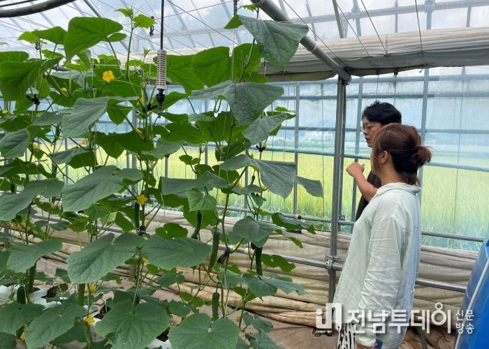 광양시, 스마트팜 운영 농가 맞춤형 컨설팅 추진…16일까지 신청 가능