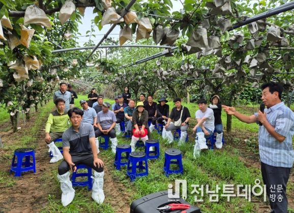 2024년 우리품종 전정단 육성 기술교육 장면. 사진제공-나주시)