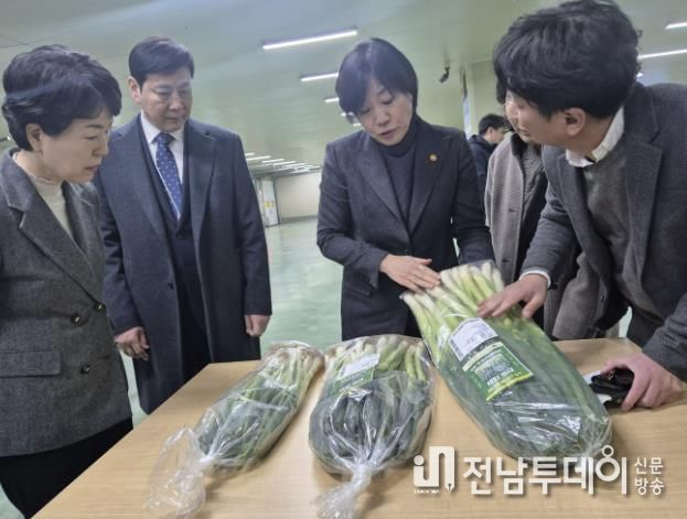 진도군, 스마트농업 기술 적용 대파 계약재배 확대 추진