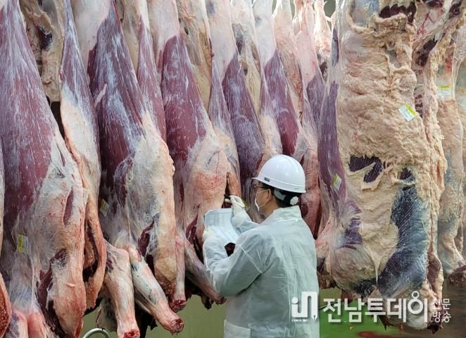 도축·축산물 검사 사진