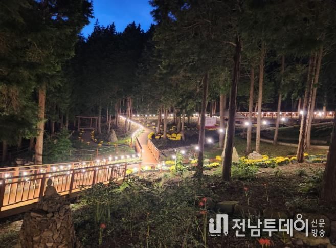 진도군, 운림산림욕장에서 ‘꽃무릇 숲속 음악회’ 개최