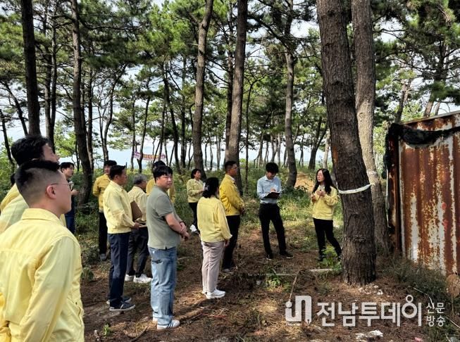 신안군 자은도, 소나무재선충병 발생