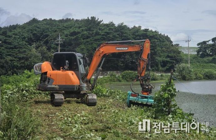 농업용저수지 제방 잡목제거