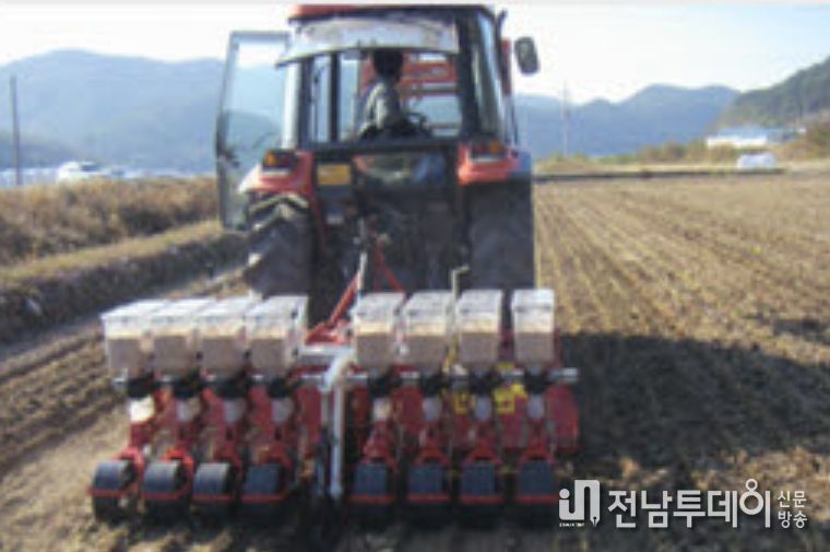 가을철 맥류 적기 파종 모습