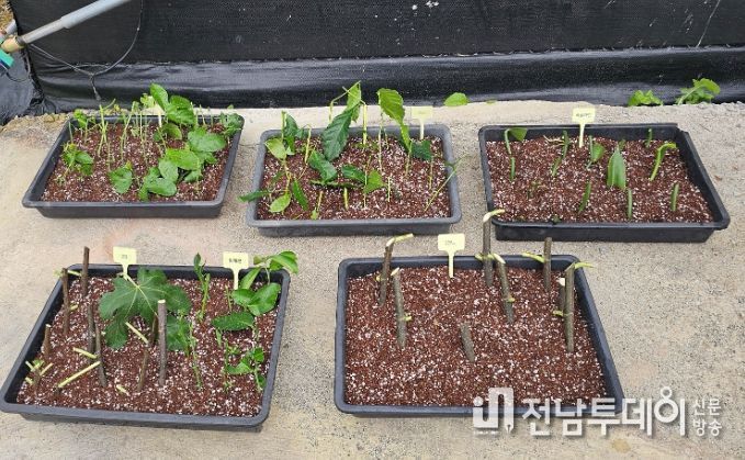 기후대응 아열대작목 도입을 위한 관·학 협력