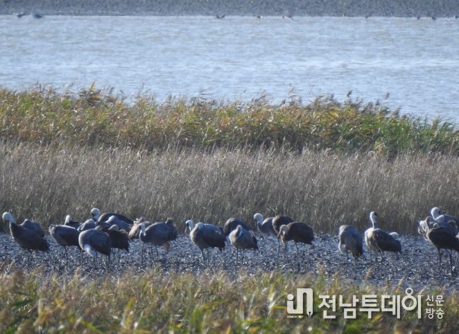 겨울 핫플, ‘순천여행’