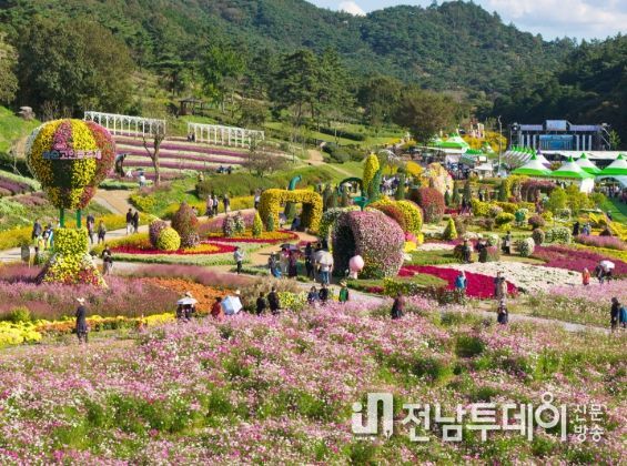 '2025 화순 고인돌 가을꽃 축제(도곡 축제장 전경)