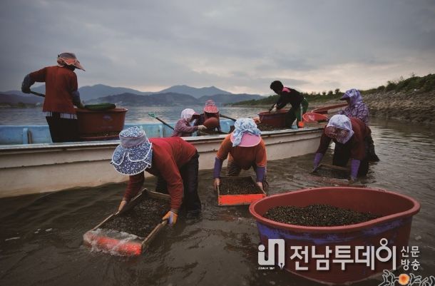 광양시, 세계중요농업유산 등재‧