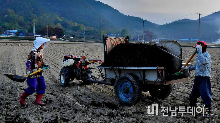 퇴비 살포 사진