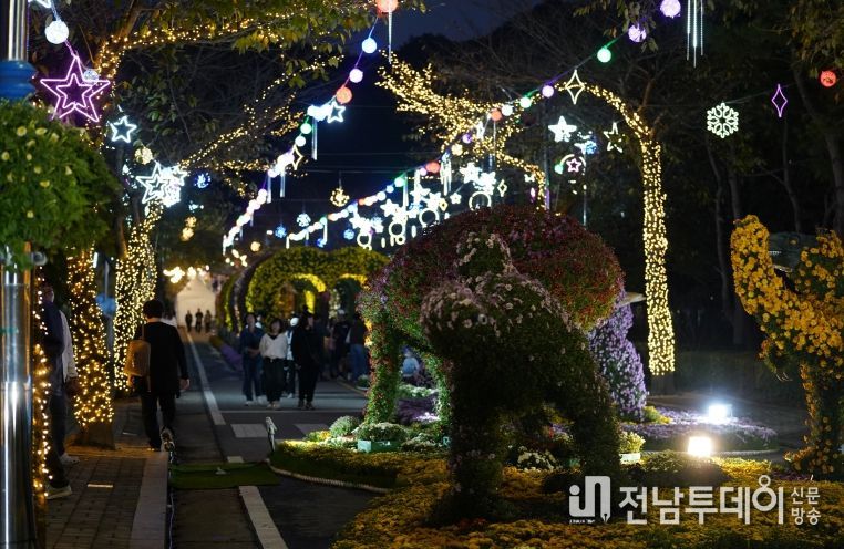 해남미남축제 즐길거리 (국화향연)
