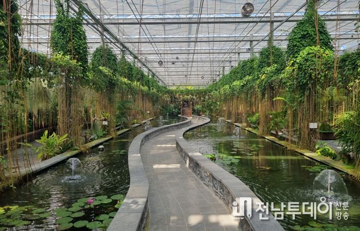 정글 속으로! 함평군 ‘수생식물관’, 이색 연출 인기 만점