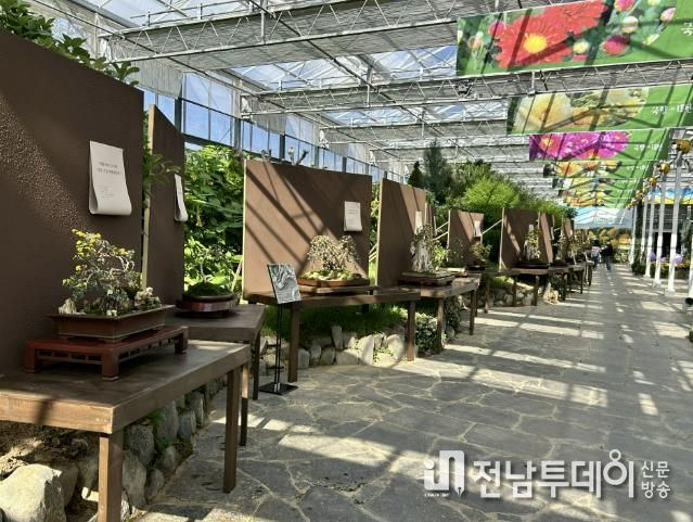 명품분재전시관 전경, 국향대전 역사관 내부 모습