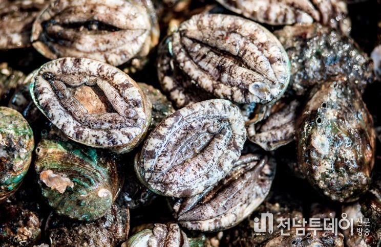 진도군전복협회, ‘학교급식 진도전복 먹는 날’ 운동 전개