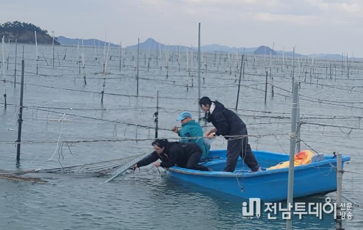 해양수산과학원 김 연구 사진
