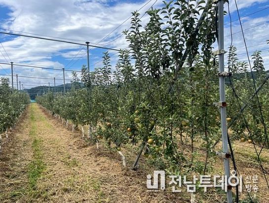 순천시, 농업인과 함께 과수 신기술 벤치마킹 추진