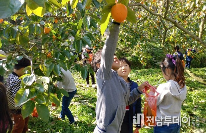농촌체험휴향마을-곡성 가정마을