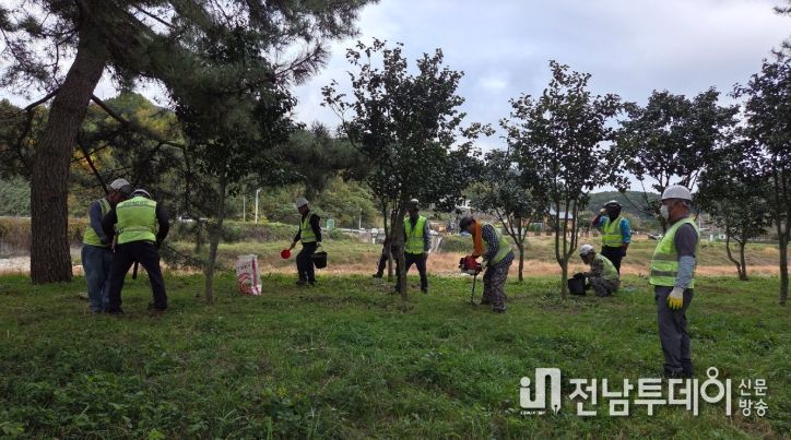 광양시, 가로수 종합 정비