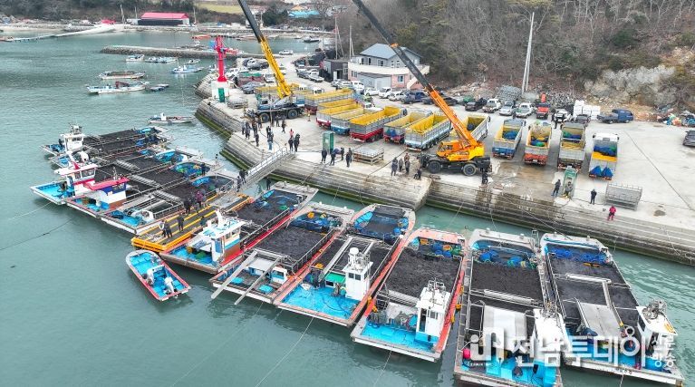 완도군 군외면 당인리의 물김 위판 현장