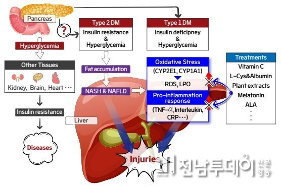 수의학과 배춘식·안태호 교수, AM 학회지 인용도 1위 논문 선정