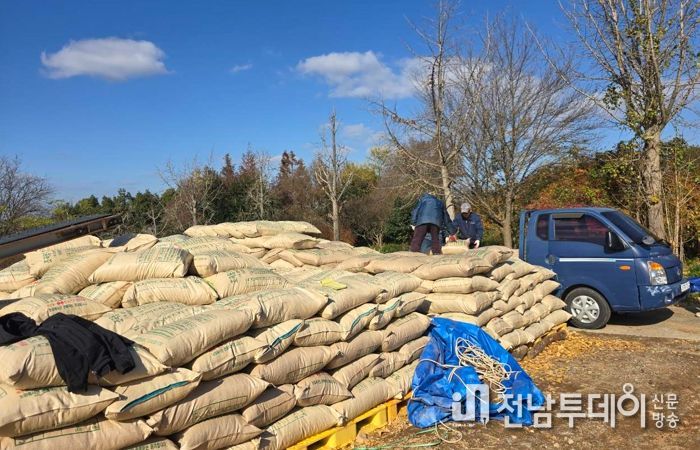 영암군, 숲 가꾸기 부산물로 만든 톱밥 축산 농가에 나눠