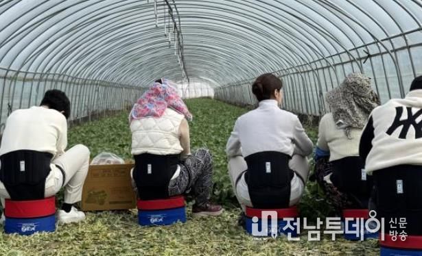 농작업용 편의의자 착용 뒷모습.