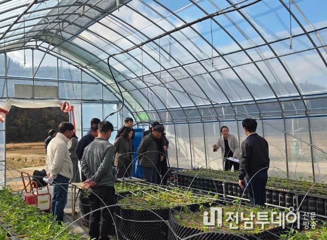 진도군, ‘지초 시범사업 결과평가회’… 지초 재배 기술 향상