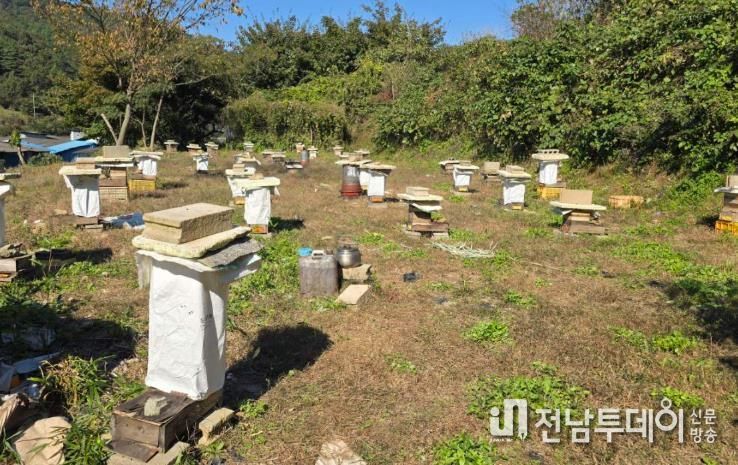 순천시, ‘찾아가는 한봉 기초 사양관리 교육’ 실시