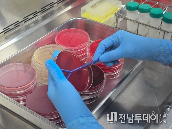 고품질 원유 생산 사진-유방염 검사