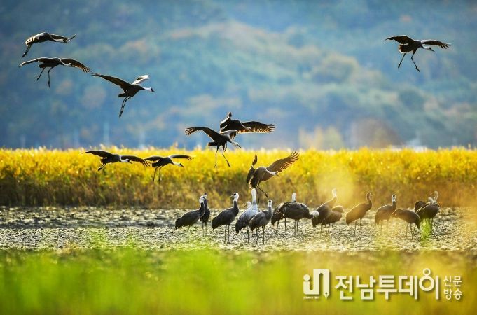 ‘한국 건강 지수’ 호남권 1위 선정