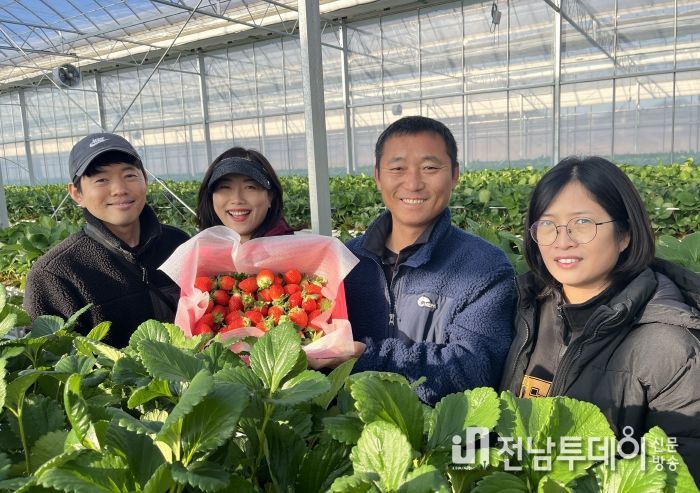 스마트팜에서 딸기를 재배한 농가의 모습