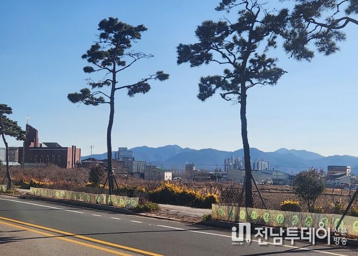 월동거적 설치 모습