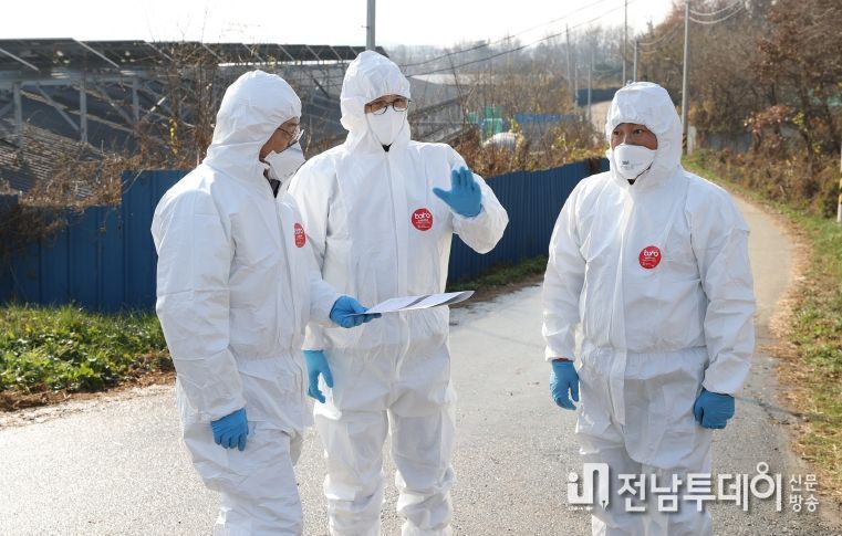 영암군 고병원성 AI 방역 총력