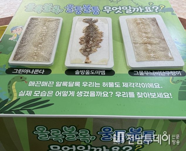 뱀 허물 만지기 체험