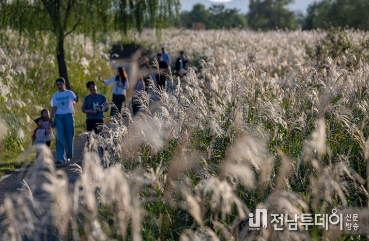 서창억새축제, 대한민국축제콘텐츠 4년 연속 대상
