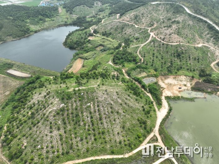 신안군 섬숲 전경