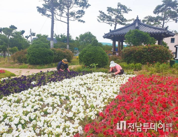 1. 보성군, 상반기 직접 일자리 사업 참여자 모집_보성군은 오는 1월 30일까지 상반기 직접 일자리사업 참여자를 모집한다고 밝혔다