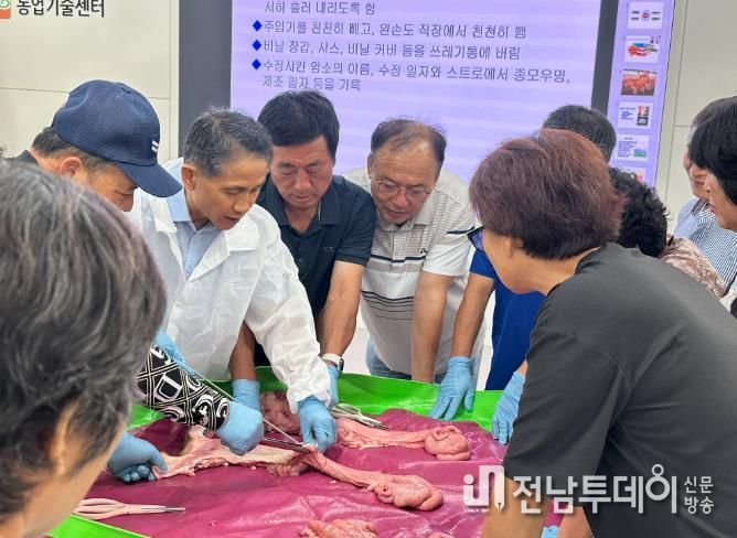 디지털-인공수정실습