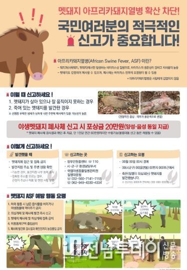 멧돼지 아프리카돼지열병 확산 차단 포스터