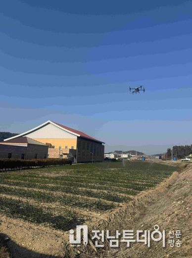 고흥 조생양파 방제 사진