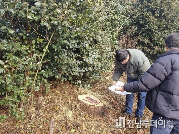 영암군, 소나무재선충병 210ha 집중방제 나선다