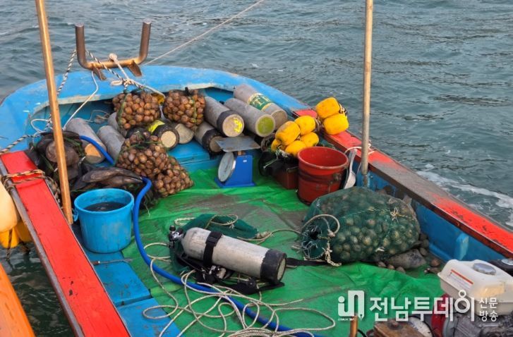 완도해경에서 단속한 새조개 불법 조업 현장의 모습