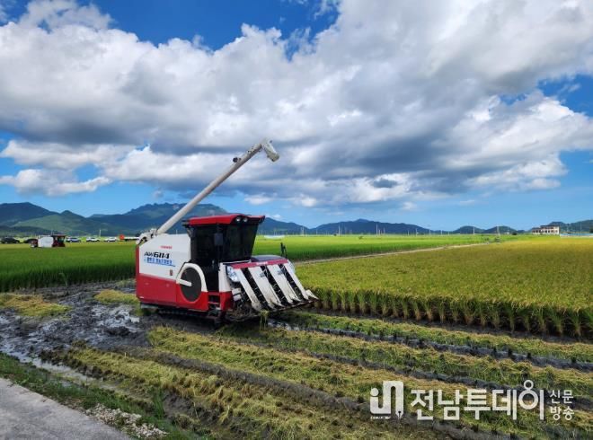 벼 재배농가 사진