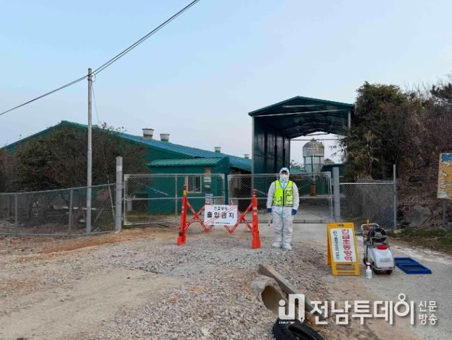 아프리카돼지열병 긴급초동방역 사진