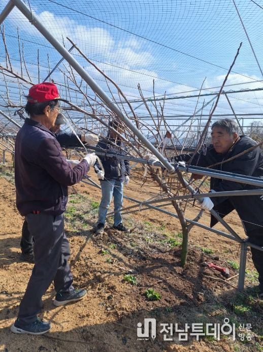 맞춤형 영농지원 본격화
