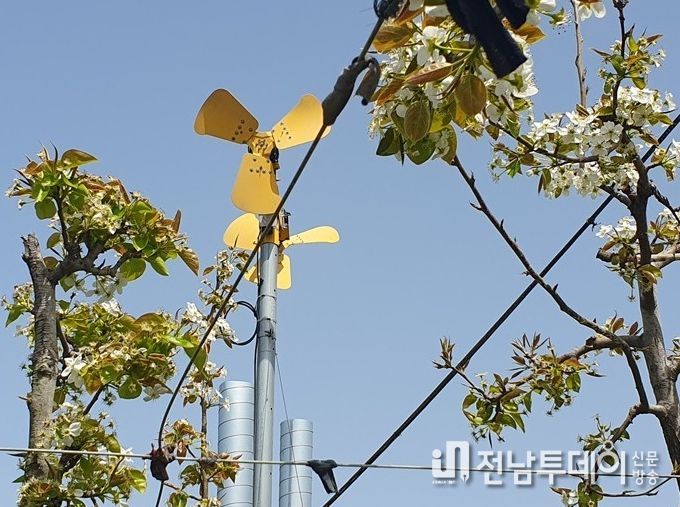 저온서리피해를 예방하기 위해 설치된 방상팬.