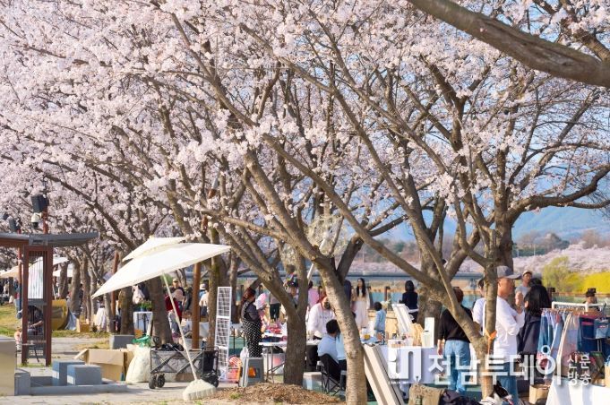 2026 제4회 구례300리 벚꽃축제