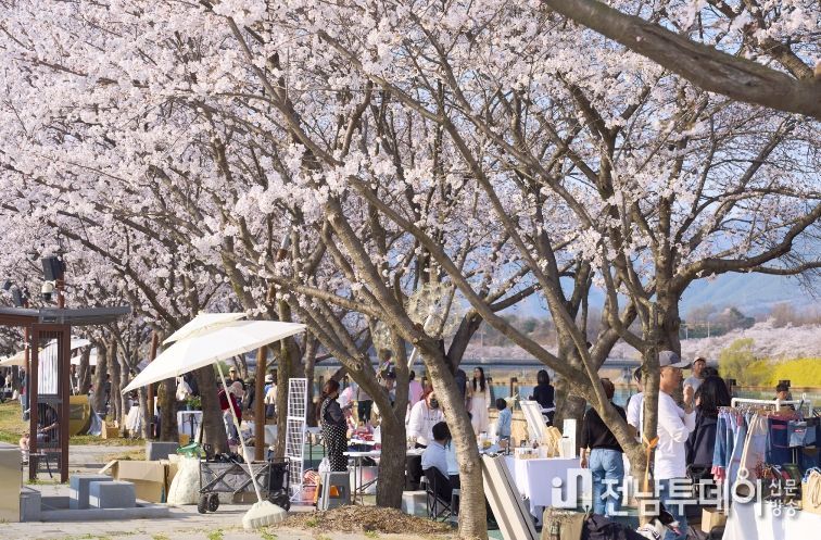 2026 구례300리 벚꽃축제 성황리에 마무리