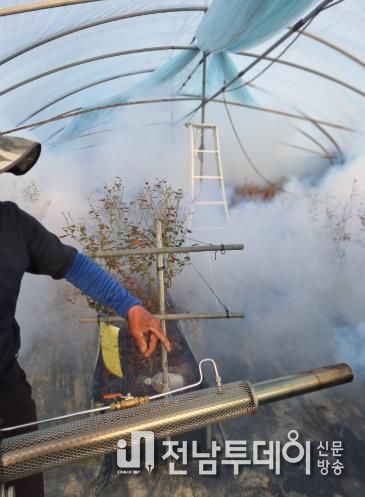 담양군, 봄철 ‘마을 일제 방역’ 총력… 해충 조기 박멸 나선다